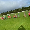 U-7 HURLERS/CAMOGS WRAP UP THE YEAR